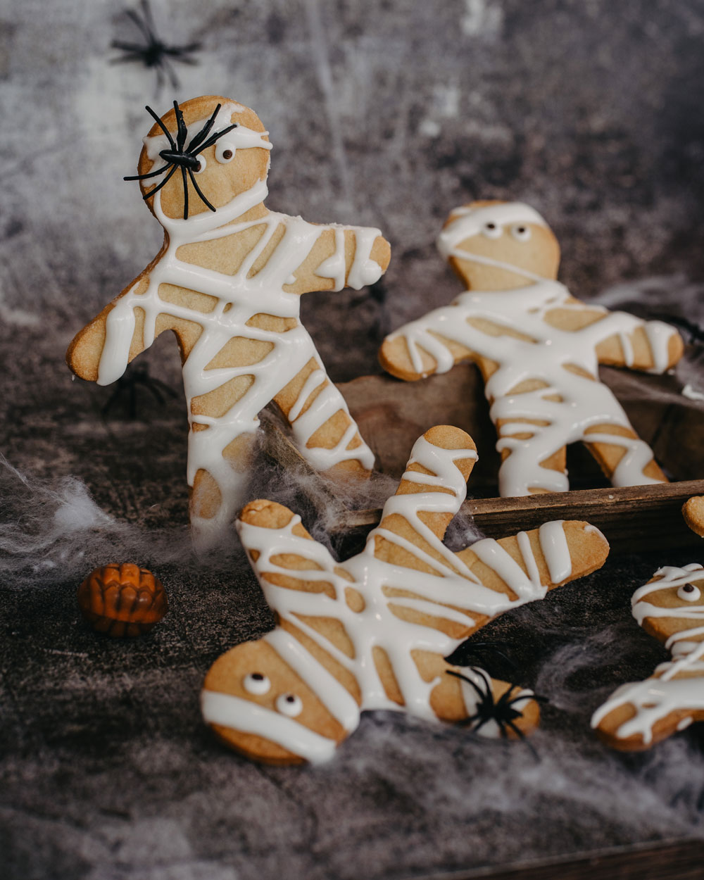 momie-Photographe-perrin-03092024-051